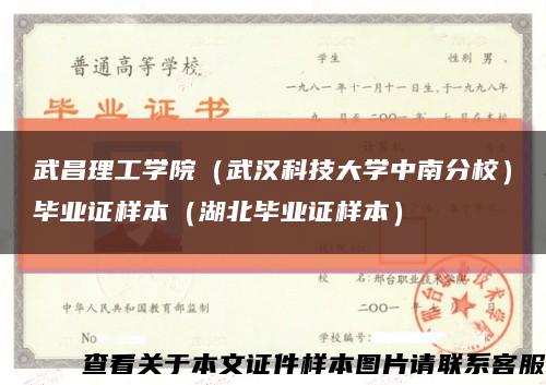 武昌理工学院（武汉科技大学中南分校）毕业证样本（湖北毕业证样本）缩略图