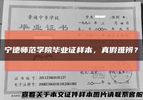 宁德师范学院毕业证样本，真假难辨？缩略图