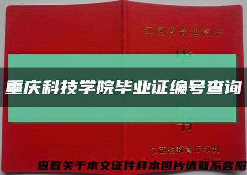 重庆科技学院毕业证编号查询缩略图