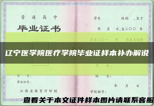 辽宁医学院医疗学院毕业证样本补办解说缩略图