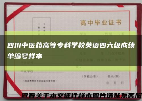 四川中医药高等专科学校英语四六级成绩单编号样本缩略图