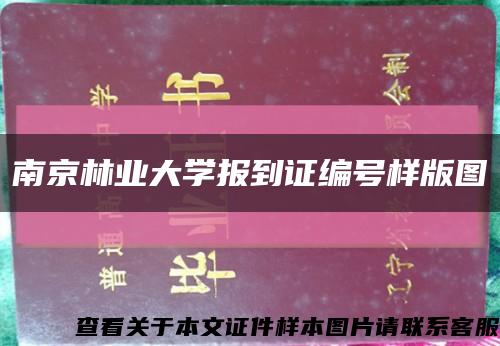 南京林业大学报到证编号样版图缩略图