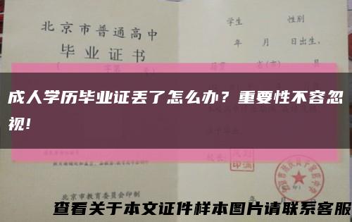 成人学历毕业证丢了怎么办？重要性不容忽视!缩略图