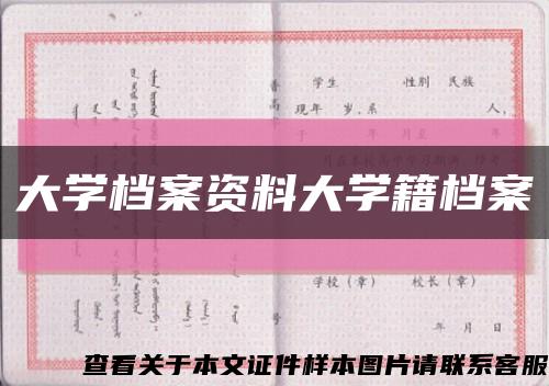 大学档案资料大学籍档案缩略图