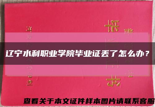 辽宁水利职业学院毕业证丢了怎么办？缩略图