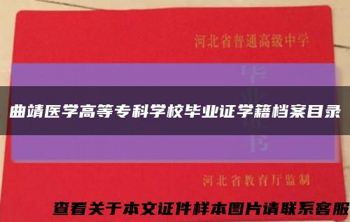 曲靖医学高等专科学校毕业证学籍档案目录缩略图