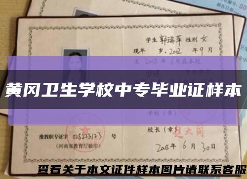 黄冈卫生学校中专毕业证样本缩略图