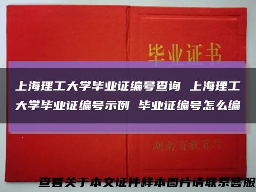 上海理工大学毕业证编号查询 上海理工大学毕业证编号示例 毕业证编号怎么编缩略图