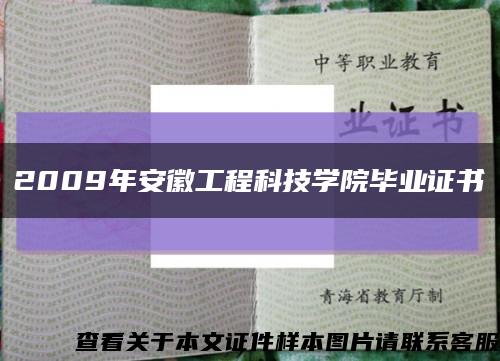 2009年安徽工程科技学院毕业证书缩略图