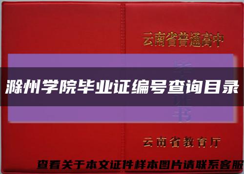 滁州学院毕业证编号查询目录缩略图