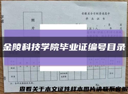 金陵科技学院毕业证编号目录缩略图