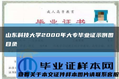 山东科技大学2000年大专毕业证示例图目录缩略图