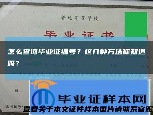 怎么查询毕业证编号？这几种方法你知道吗？缩略图