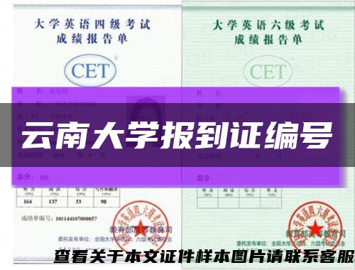 云南大学报到证编号缩略图