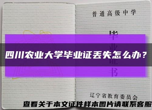 四川农业大学毕业证丢失怎么办？缩略图