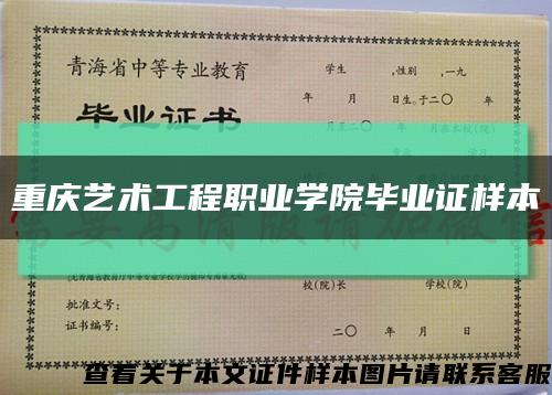 重庆艺术工程职业学院毕业证样本缩略图