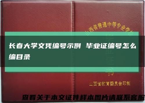 长春大学文凭编号示例 毕业证编号怎么编目录缩略图