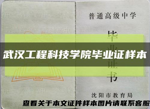 武汉工程科技学院毕业证样本缩略图