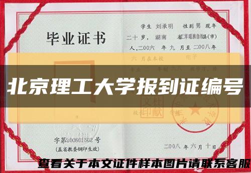 北京理工大学报到证编号缩略图