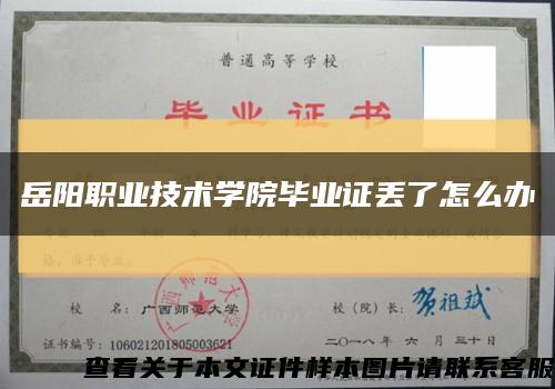 岳阳职业技术学院毕业证丢了怎么办缩略图