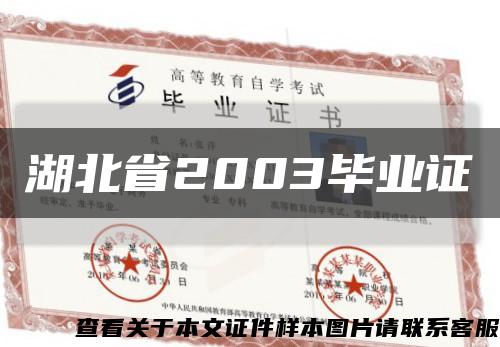 湖北省2003毕业证缩略图