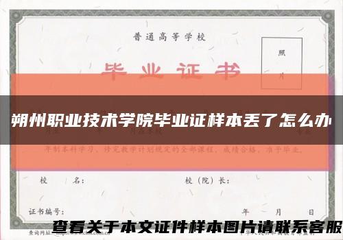 朔州职业技术学院毕业证样本丢了怎么办缩略图