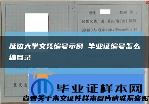 延边大学文凭编号示例 毕业证编号怎么编目录缩略图