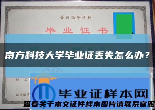 南方科技大学毕业证丢失怎么办？缩略图