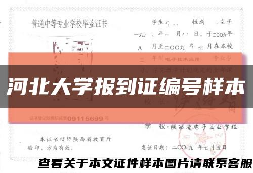 河北大学报到证编号样本缩略图