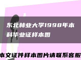 东北林业大学1998年本科毕业证样本图缩略图