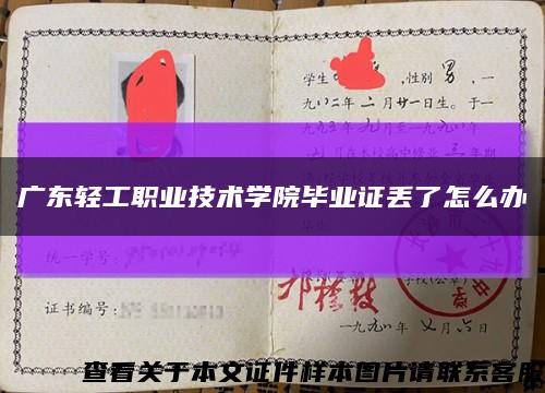 广东轻工职业技术学院毕业证丢了怎么办缩略图