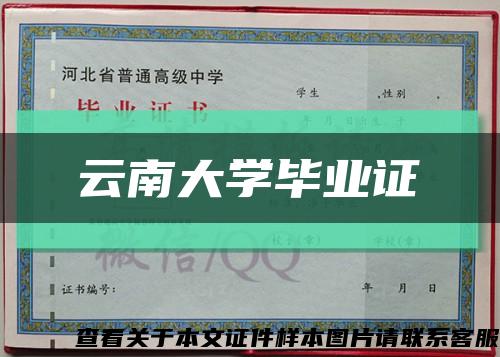 云南大学毕业证缩略图