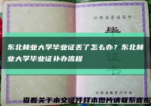 东北林业大学毕业证丢了怎么办？东北林业大学毕业证补办流程缩略图