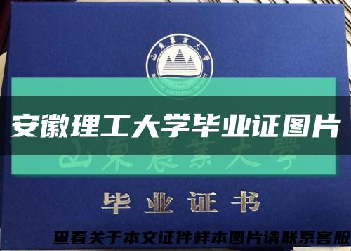 安徽理工大学毕业证图片缩略图