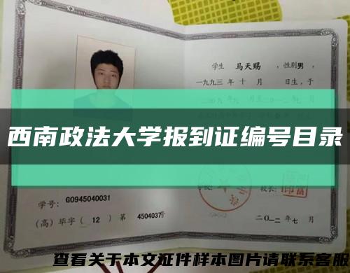 西南政法大学报到证编号目录缩略图