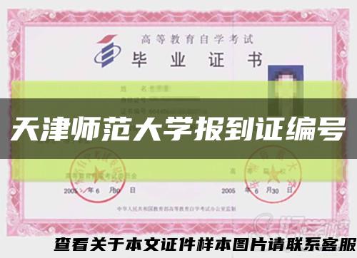 天津师范大学报到证编号缩略图