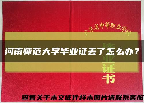 河南师范大学毕业证丢了怎么办？缩略图