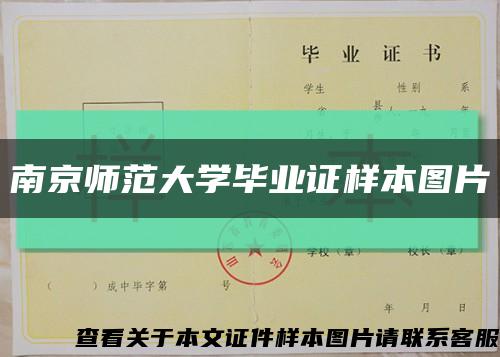 南京师范大学毕业证样本图片缩略图