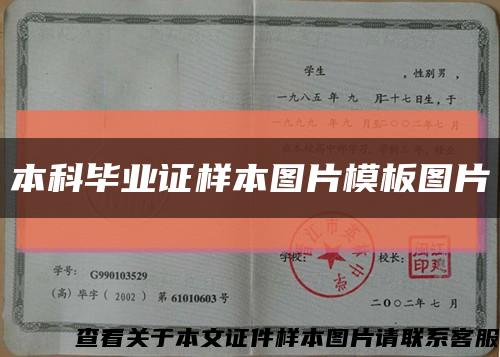 本科毕业证样本图片模板图片缩略图