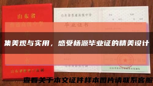 集美观与实用，感受杨源毕业证的精美设计缩略图