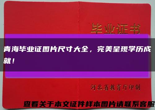 青海毕业证图片尺寸大全，完美呈现学历成就！缩略图