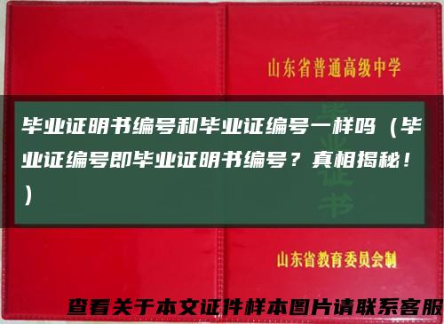 毕业证明书编号和毕业证编号一样吗（毕业证编号即毕业证明书编号？真相揭秘！）缩略图