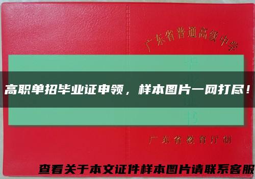 高职单招毕业证申领，样本图片一网打尽！缩略图