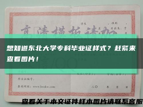 想知道东北大学专科毕业证样式？赶紧来查看图片！缩略图