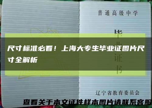 尺寸标准必看！上海大专生毕业证图片尺寸全解析缩略图