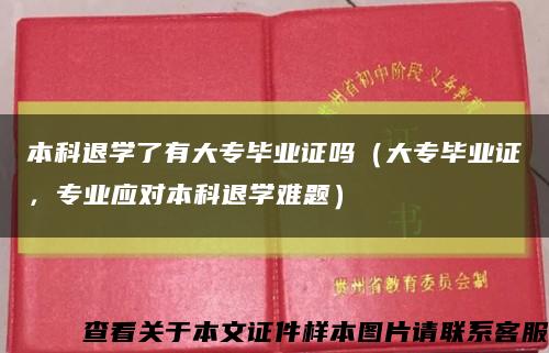 本科退学了有大专毕业证吗（大专毕业证，专业应对本科退学难题）缩略图