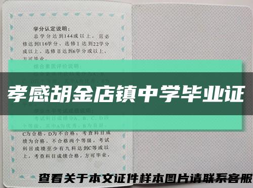 孝感胡金店镇中学毕业证缩略图