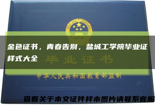 金色证书，青春告别，盐城工学院毕业证样式大全缩略图