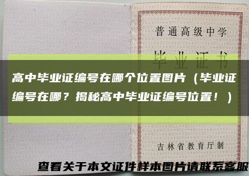 高中毕业证编号在哪个位置图片（毕业证编号在哪？揭秘高中毕业证编号位置！）缩略图