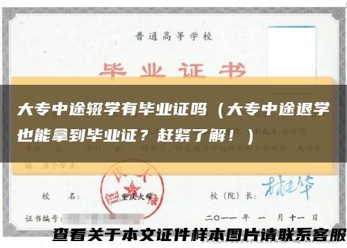 大专中途辍学有毕业证吗（大专中途退学也能拿到毕业证？赶紧了解！）缩略图